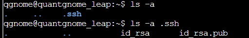 Screenshot 2026-01-04 002956