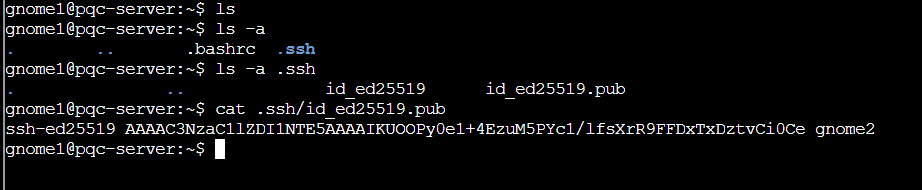 Screenshot 2026-01-04 003306