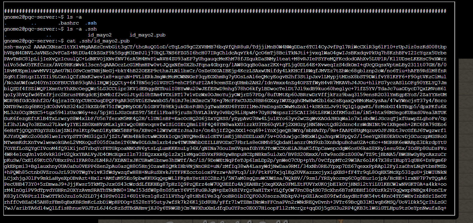Screenshot 2026-01-04 003600