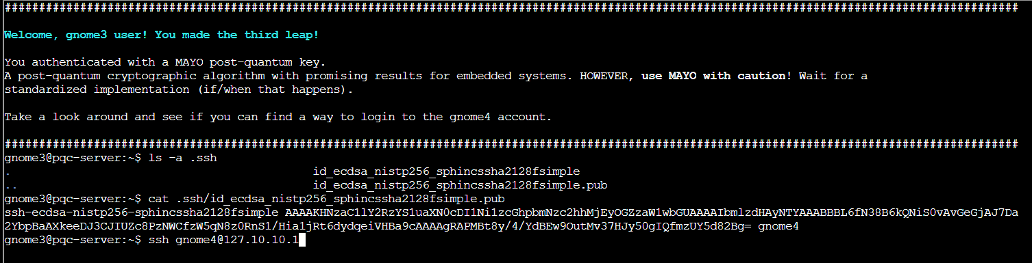 Screenshot 2026-01-04 003917
