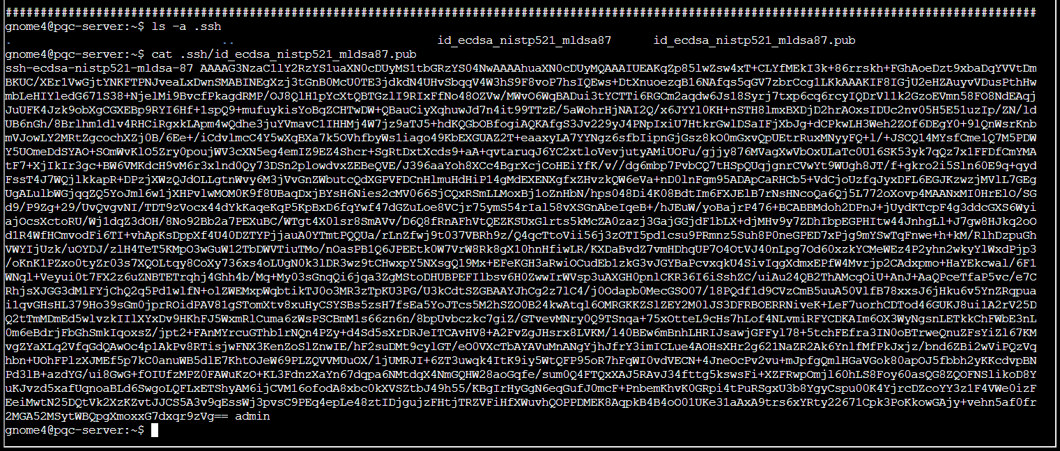 Screenshot 2026-01-04 004125